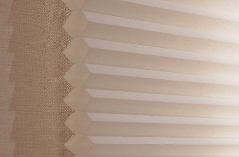 New Product Launch – Reserve Your Window Decoration Experience Now!