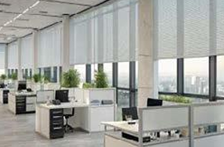 Office Roller Blind